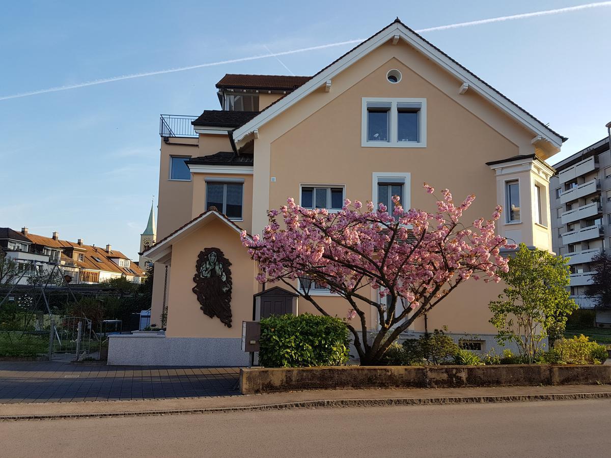 Niros Bed & Breakfast Birsfelden Luaran gambar